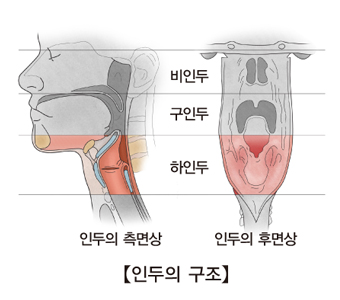 인두